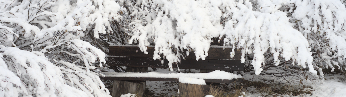 Bank im Schnee